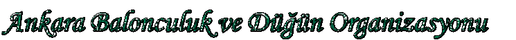 ankara balonculuk ve d���n organizasyonu