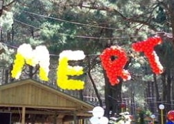 İstanbul Harf Balon Süslemesi