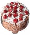 İzmir pasta 4-ile-6-kisilik-cikolatali-frambuazli-yas-pasta_69_1771368535.jpg